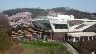 Mavic mini SE crash - helix mode
