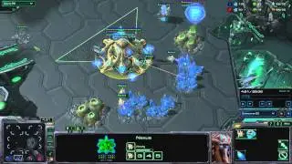 Guide : Scouting vs Protoss