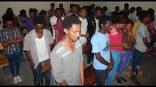 Focus HU Action Team Documentary Film 2016