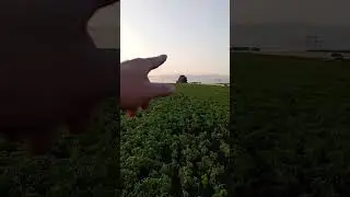 нагонка ЭГ часть 2