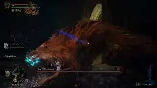 Highlight: Red Wolf of Radagon