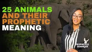 25 ANIMALS AND THEIR PROPHETIC/DEMONIC MEANING
