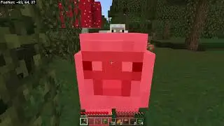 Minecraft 1.19 Longplay - S5E01 - And Allay We Go!