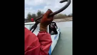 прокол
