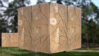 📸 Timber end - 02, TEXTURE for 3Ds Max, Unreal Engine, Unity (transparency)