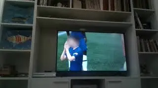 fifa laivi #  61-ის ასლი