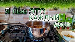 Чудо-Напиток из Семи Трав 🌿