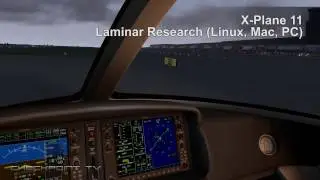 X-Plane 11 - Mad Pilot At Helsinki-Vantaa Airport