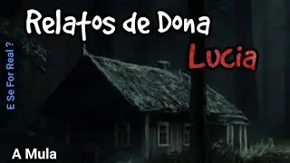 The scary stories of Dona Lúcia!!!