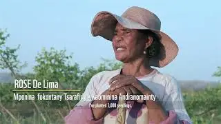 Sustainable fuelwood for improved livelihoods in Menabe (Short)
