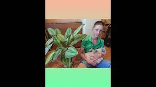 Цікава Біологія 7 клас. Озвучив Кондратьєв Артем