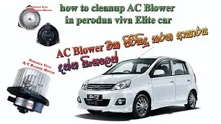 #viva_Elite #AC_Blower   How to cleanup AC Blower in Perodua Viva Elite Car (සිංහල) June 4, 2021