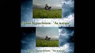 Ақ жауын. Секен Тұрысбеков