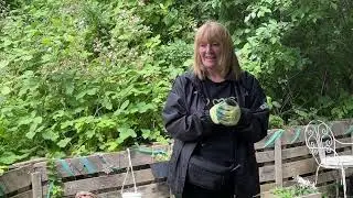 Community spirit transforming the local wild garden