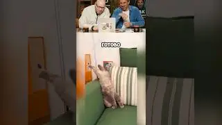 Я Ржал Весь День! 🤣😅