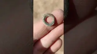 Toto nejsou pravěké peníze! Jak poznat antický bronzový kroužek? #metaldetecting #metaldetector