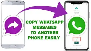 How to Transfer WhatsApp Messages and Chats Media to Another Mobile Phone Easily