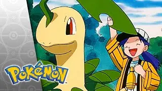 The Bug Stops Here | POKÉMON FULL EPISODE 4 | Season 4