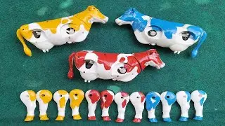 Find Moo Cows, Cute Cows, Colorful Cows, Cow Assemble, Cow Match