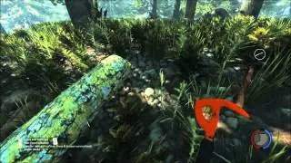 Recording Test (The Forest Gameplay