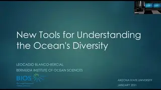 New Tools for Understanding the Ocean's Diversity