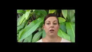 Relax Haven Kinesiology