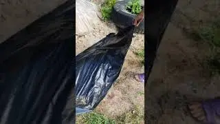 Крутой декор для сада. Такого нет у соседа 