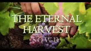The Eternal Harvest