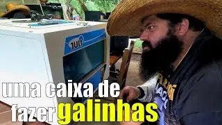 UMA CAIXA DE FAZER NOVAS GALINHAS