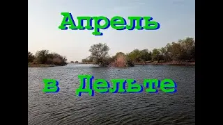 Апрель в Дельте  или почему я езжу в Дельту в начале апреля