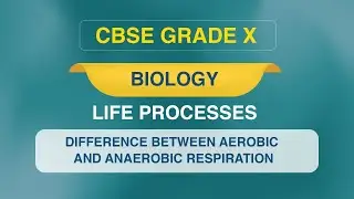 CBSE Class 10 | Biology | life processes | Aerobic And Anaerobic Respiration | Video Lecture