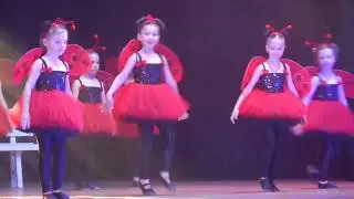 Божьи коровки