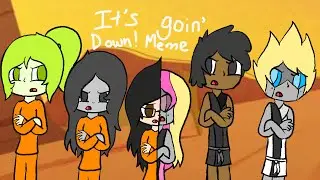 It’s Goin’ Down! Meme (Ninjago OCs And Canons) | ORIGINAL MEME | FLIPACLIP