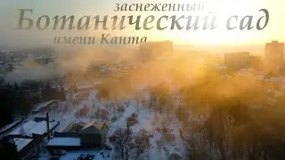 Заснеженный ботанический сад имени Канта с высоты птичьего полета в Cinematic 4K! Калининград, 12.21