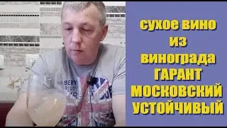 Сухое вино из винограда Московский устойчивый и виноград Гарант!