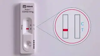 Panbio™ COVID 19 Ag Nasal Swab Procedure Live Action
