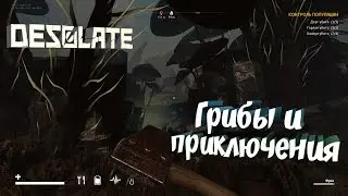 Desolate - Прохождение задания с грибами