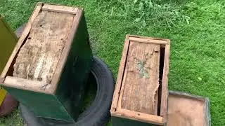Невдалий рік, ні меду ні роїв..