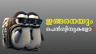 പെൻഗ്വിൻ ഒരു സംഭവം തന്നെ