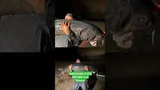 Wisconsin State Record Sturgeon Release! #sturgeon #fishing #viral
