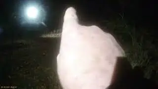 Checking yard lights at night