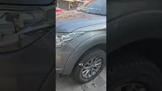 А вот тебе и бампер и кенгурин