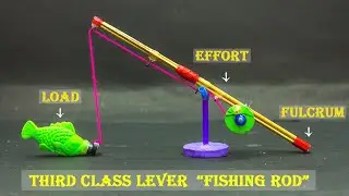 Third Class Lever | Fishing Rod