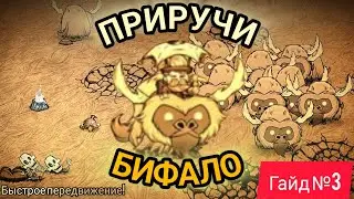 Как ПРИРУЧИТЬ БИФАЛО в Don't Starve Together ➤ Гайд №3