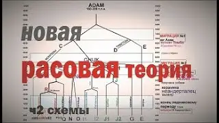 новая РАСОВАЯ теория - ч2 СХЕМЫ. 2022