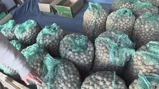 урожай грецкого ореха 2021