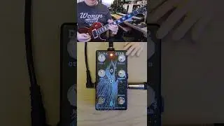 Inter-dimensional travel with the Dark Star reverb pedal #guitarpedal #shorts