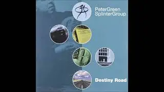 destiny road bonus track - the brave (peter green splinter group)