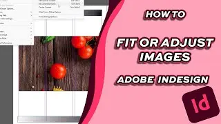 How to Fit and Adjust Images [Adobe Indesign]