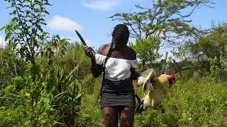 A LADY SLAUGHTERING CHICKEN FOR FOOD IN HEELS